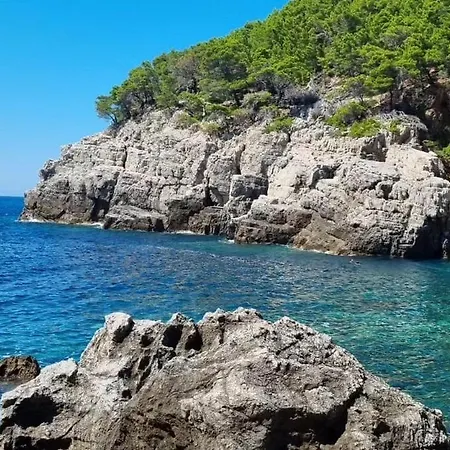 Korina & Mauro Mljet Gostinjska kuća